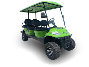 golf cart repair service, port saint lucie cart repair pickup, golf cart inspection